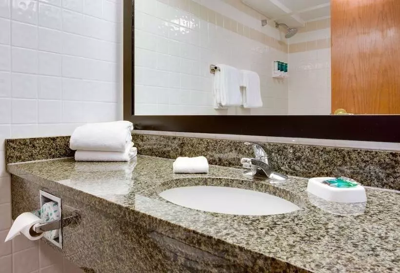 スイート, Drury Plaza Hotel San Antonio Airport