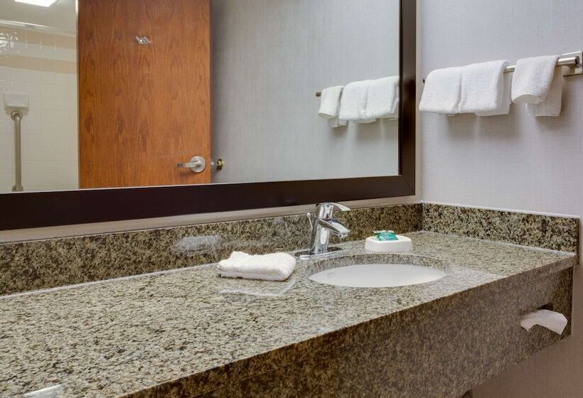 套房, Drury Plaza Hotel San Antonio Airport