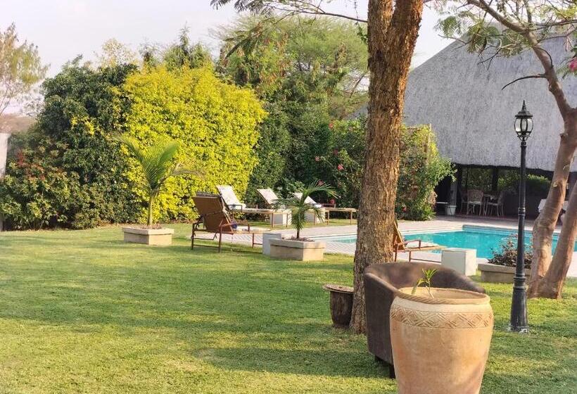 سوییت اجرایی, Sunbirds Chobe