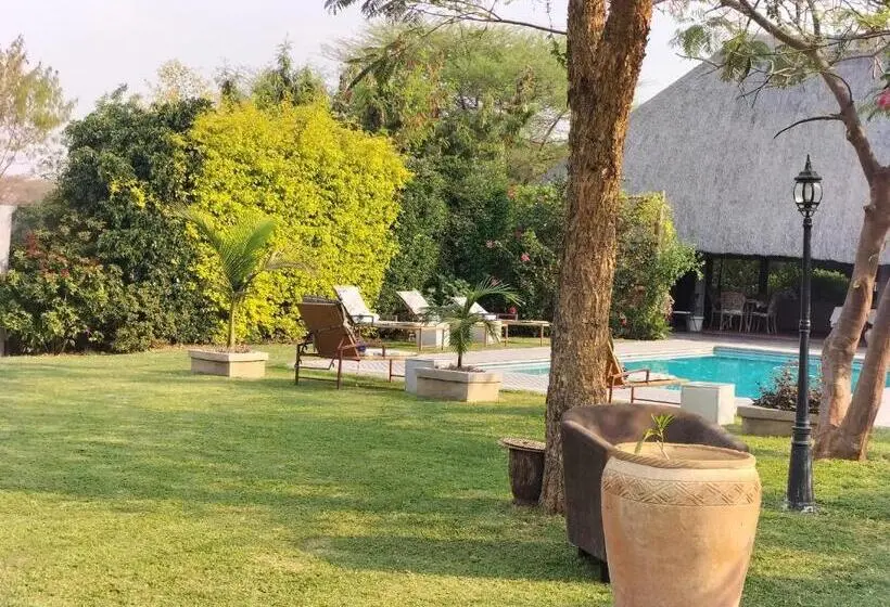 سوییت اجرایی, Sunbirds Chobe