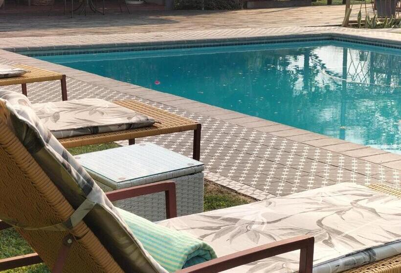 سوییت اجرایی, Sunbirds Chobe