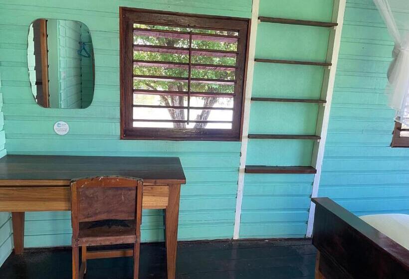 اتاق لوکس, Dolphin Blue Paradise