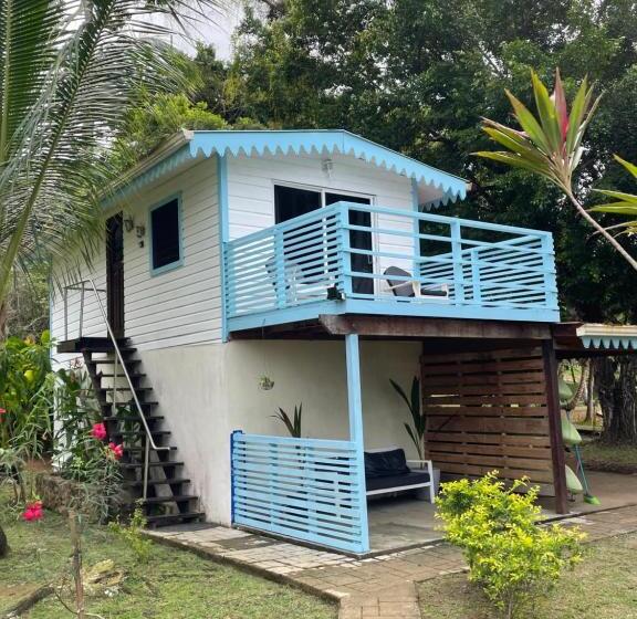 اتاق لوکس, Dolphin Blue Paradise