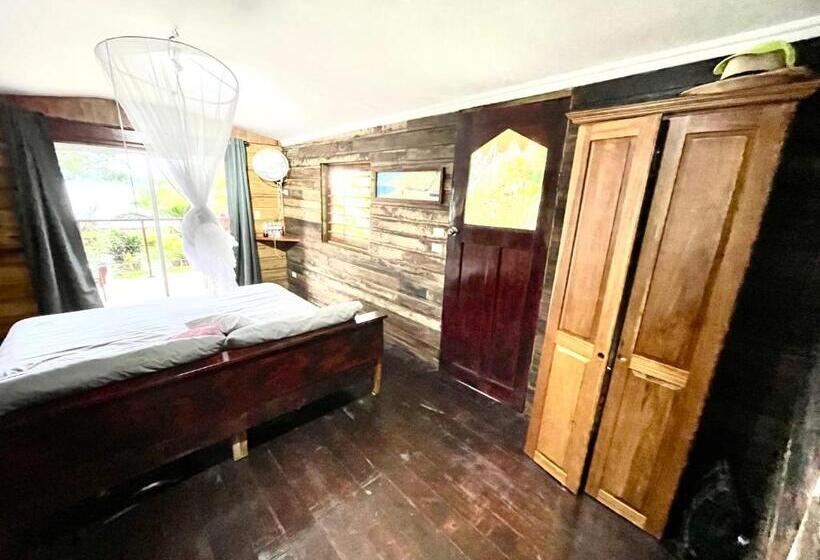 اتاق لوکس, Dolphin Blue Paradise