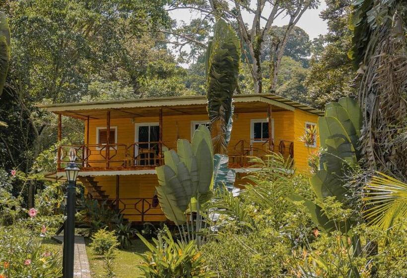 اتاق خانوادگی, Dolphin Blue Paradise