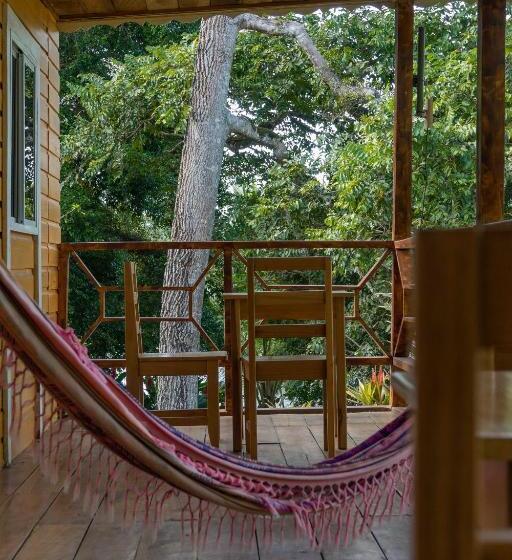 اتاق خانوادگی, Dolphin Blue Paradise