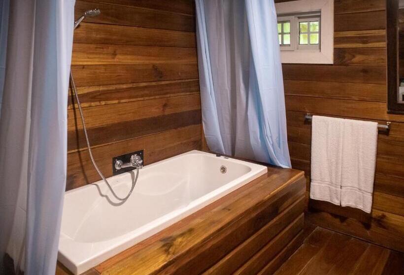 اتاق خانوادگی, Dolphin Blue Paradise