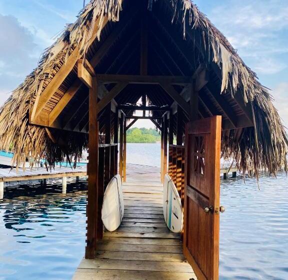 اتاق خانوادگی, Dolphin Blue Paradise