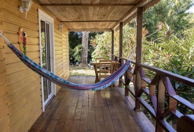 اتاق خانوادگی, Dolphin Blue Paradise