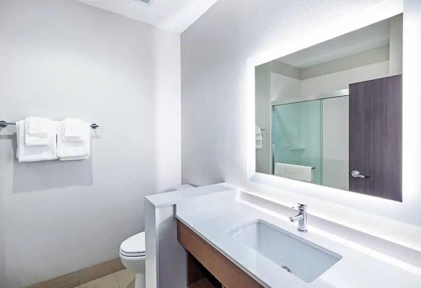 Sviitti Liikuntarajoitteisille, Holiday Inn Express & Suites Denton Sanger By Ihg