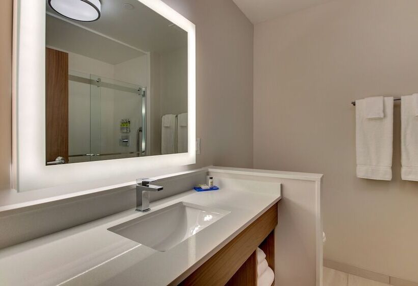 适合残疾人士使用的套间, Holiday Inn Express & Suites   Nashville Metrocenter Downtown, An Ihg
