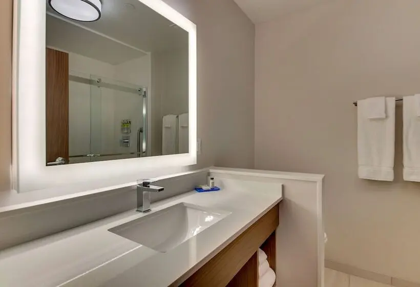 身障者適用スイートルーム, Holiday Inn Express & Suites   Nashville Metrocenter Downtown, An Ihg