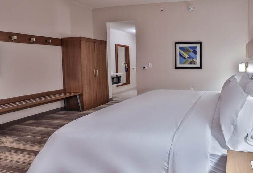 סוויטה מותאמת לאדם עם מוגבלויות, Holiday Inn Express & Suites   Nashville Metrocenter Downtown, An Ihg