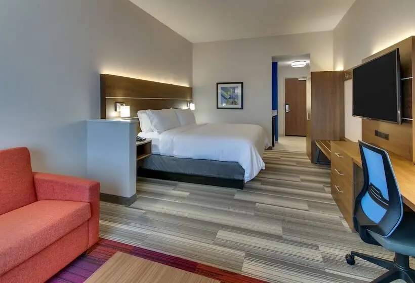 身障者適用スイートルーム, Holiday Inn Express & Suites   Nashville Metrocenter Downtown, An Ihg