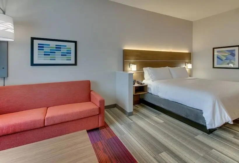 身障者適用スイートルーム, Holiday Inn Express & Suites   Nashville Metrocenter Downtown, An Ihg