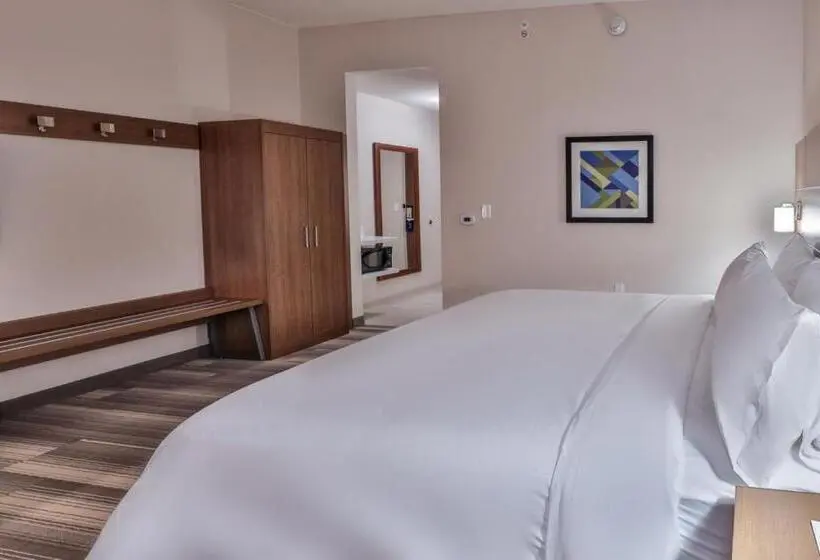 キングサイズベッドのスイートルーム, Holiday Inn Express & Suites   Nashville Metrocenter Downtown, An Ihg