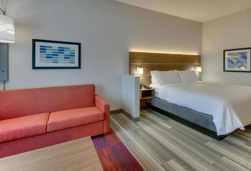 キングサイズベッドのスイートルーム, Holiday Inn Express & Suites   Nashville Metrocenter Downtown, An Ihg