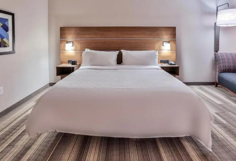 身障者適用キングサイズベッドルーム, Holiday Inn Express & Suites   Nashville Metrocenter Downtown, An Ihg