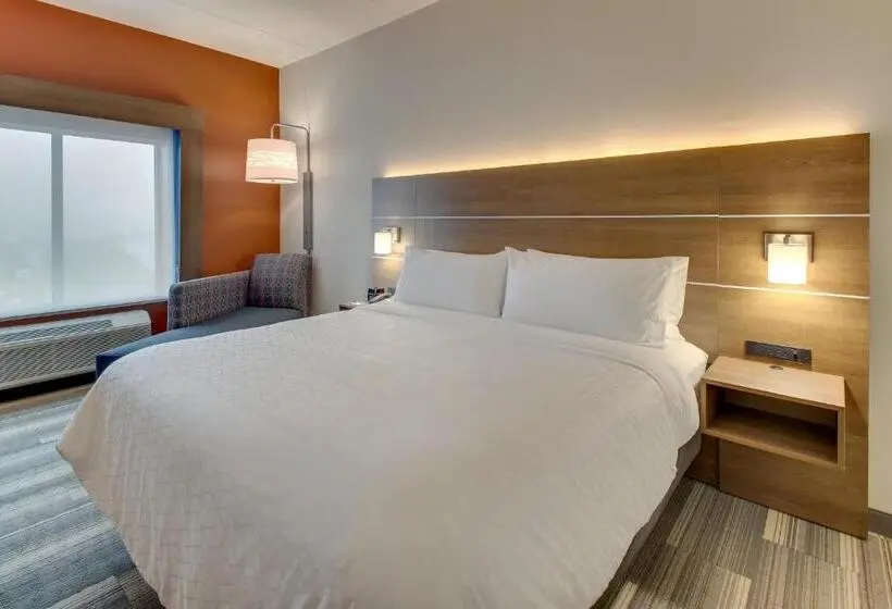 身障者適用キングサイズベッドルーム, Holiday Inn Express & Suites   Nashville Metrocenter Downtown, An Ihg