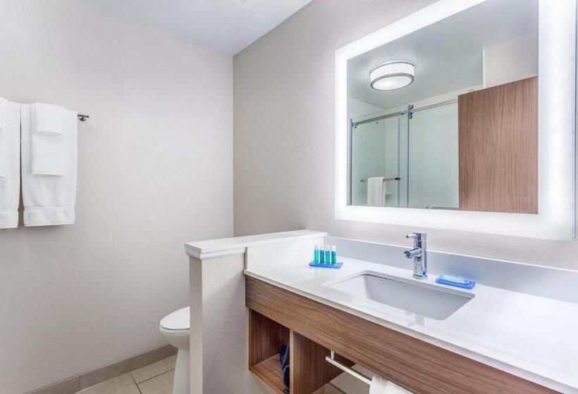 חדר סטנדרט מותאם לאדם עם מוגבלויות, Holiday Inn Express & Suites   Nashville Metrocenter Downtown, An Ihg