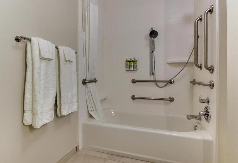 适合残疾人士使用的套间, Holiday Inn Express & Suites   Nashville Metrocenter Downtown, An Ihg