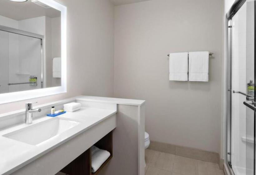 带大床的标准间, Holiday Inn Express & Suites   Nashville Metrocenter Downtown, An Ihg