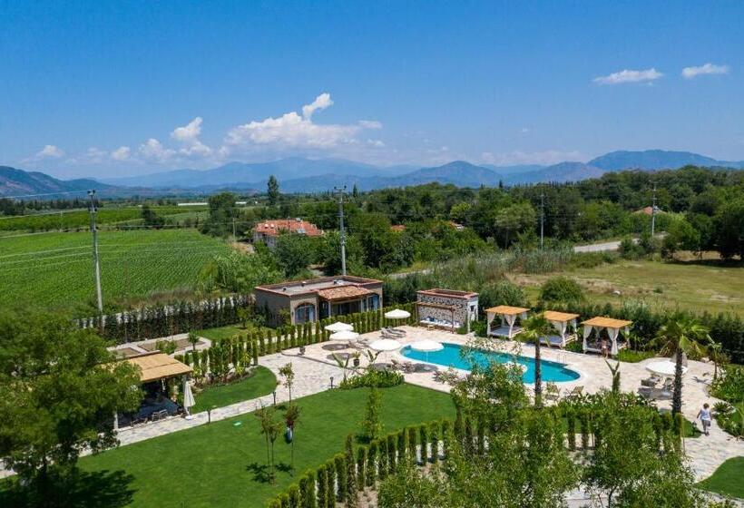 سوییت لوکس, Zigo S