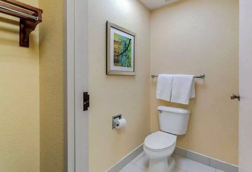 ２ダブルベッドのスタンダードルーム, Comfort Inn & Suites