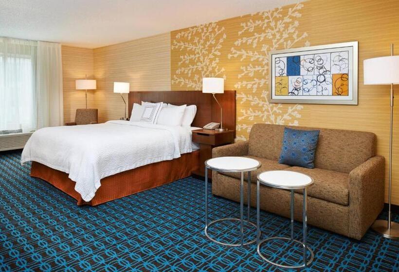 스탠다드 룸 킹사이즈 침대, Fairfield Inn By Marriott Port Huron