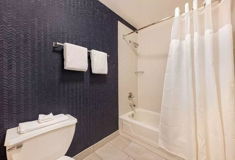 ２ダブルベッドのスタンダードルーム, Fairfield Inn & Suites By Marriott Chicago Naperville