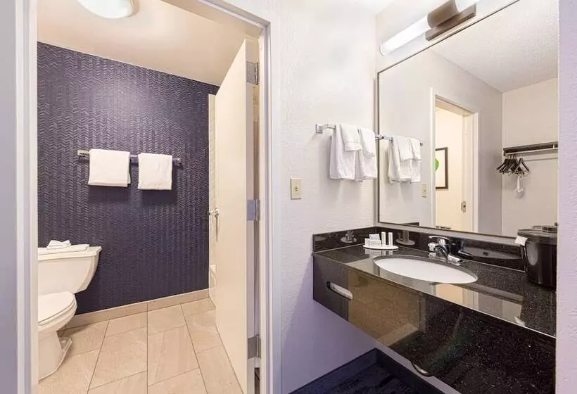 ２ダブルベッドのスタンダードルーム, Fairfield Inn & Suites By Marriott Chicago Naperville