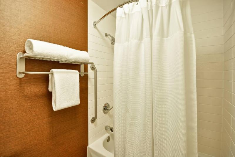 キングサイズベッドのスタンダードルーム, Fairfield Inn & Suites Dallas Medical/market Center