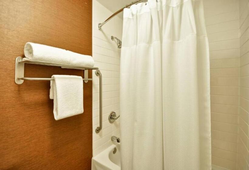 スタンダードルーム, Fairfield Inn & Suites Dallas Medical/market Center