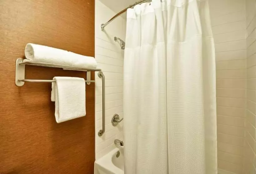 Standard-huone, Fairfield Inn & Suites Dallas Medical/market Center