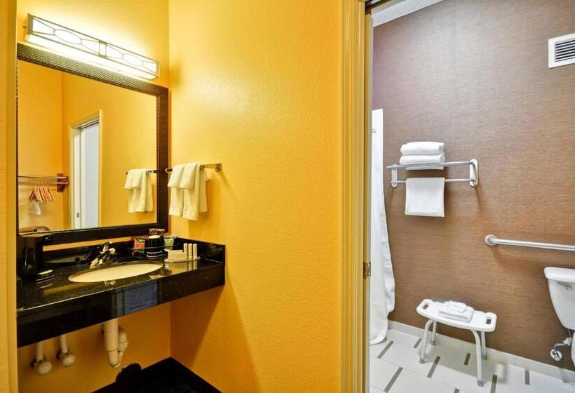 キングサイズベッドのスタンダードルーム, Fairfield Inn & Suites Dallas Medical/market Center