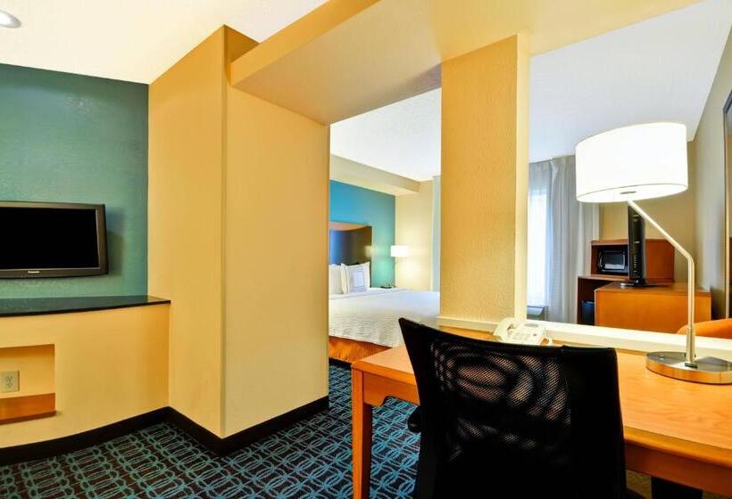 Люкс Кровать Кинг, Fairfield Inn & Suites Dallas Medical/market Center