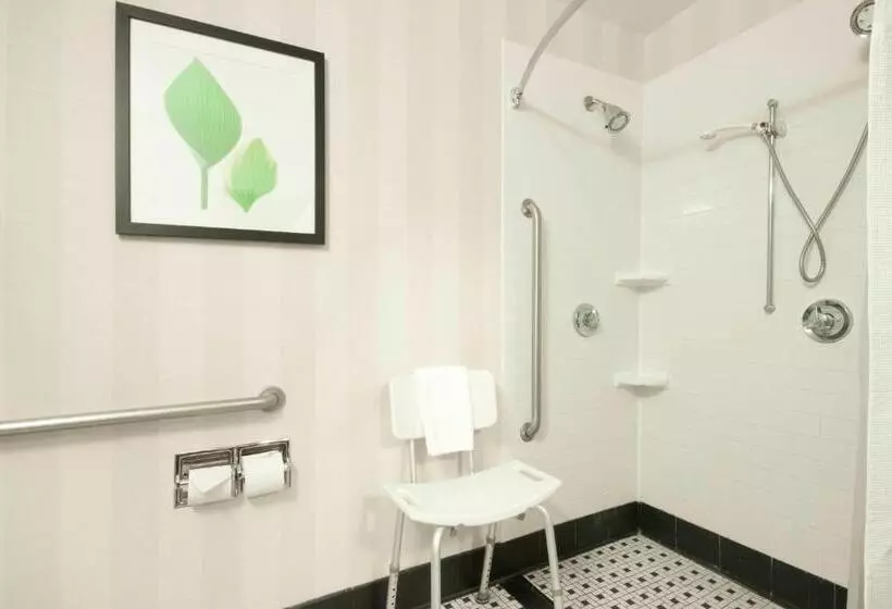 キングサイズベッドのスタンダードルーム, Fairfield Inn & Suites Hattiesburg / University