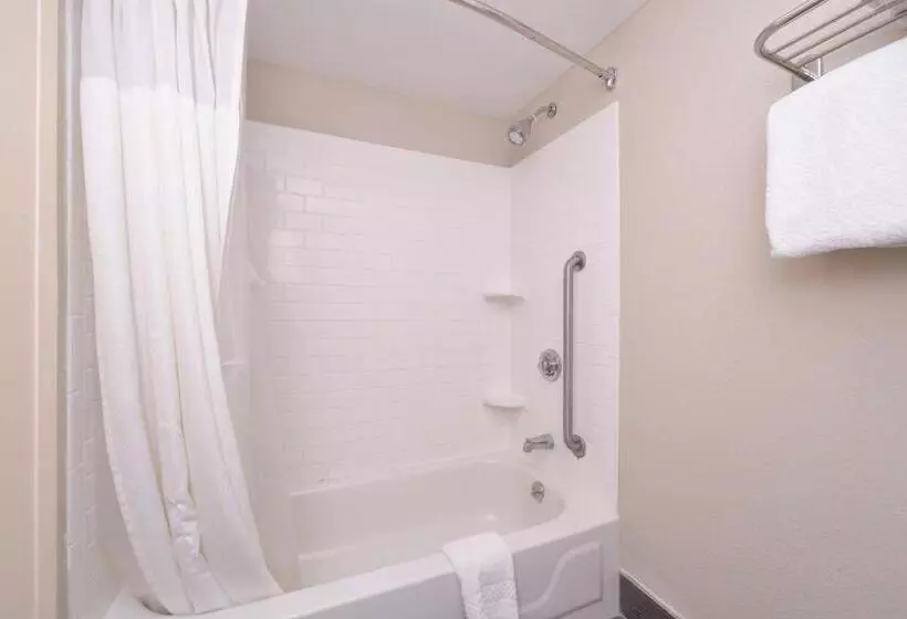 身障者適用キングサイズベッドルーム, Fairfield Inn & Suites Hattiesburg / University