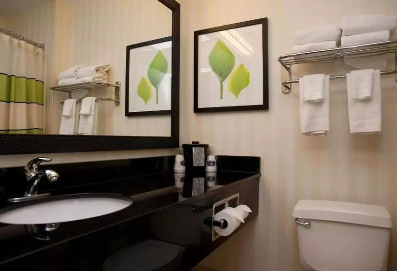 ダブルベッドのスタンダードスタジオ, Fairfield Inn & Suites Joliet North/plainfield
