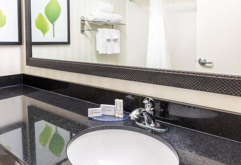 스탠다드 룸 킹사이즈 침대, Fairfield Inn & Suites Minneapolis Burnsville