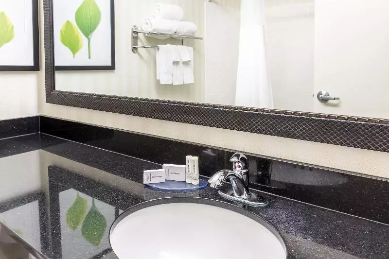 キングサイズベッドのスタンダードルーム, Fairfield Inn & Suites Minneapolis Burnsville