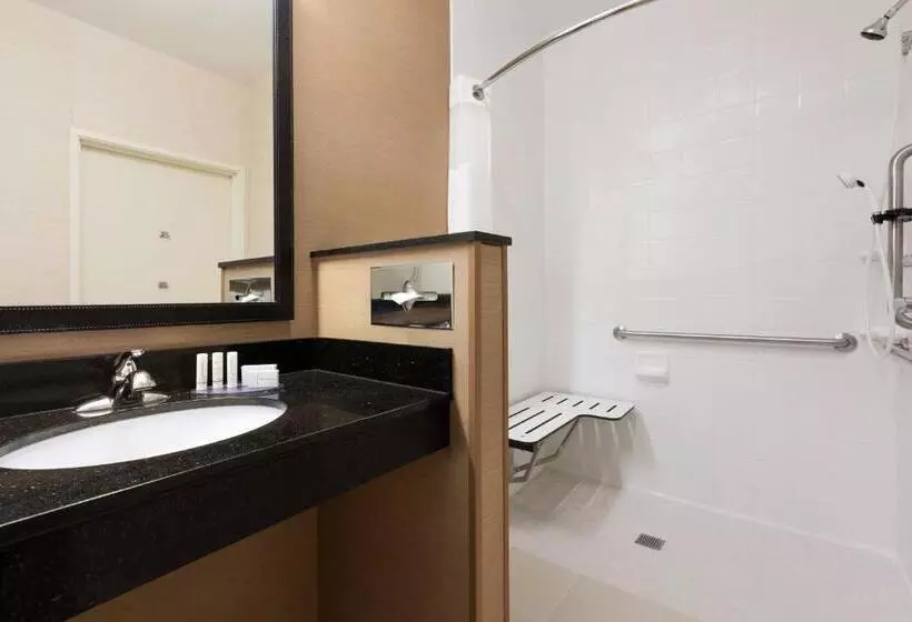 スタンダードルーム, Fairfield Inn & Suites Omaha East/council Bluffs, Ia