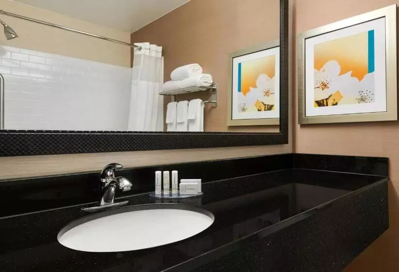 スタンダードルーム, Fairfield Inn & Suites Omaha East/council Bluffs, Ia