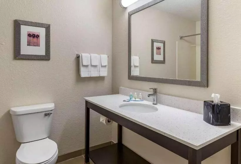 キングサイズベッドのスタンダードルーム, Quality Inn & Suites
