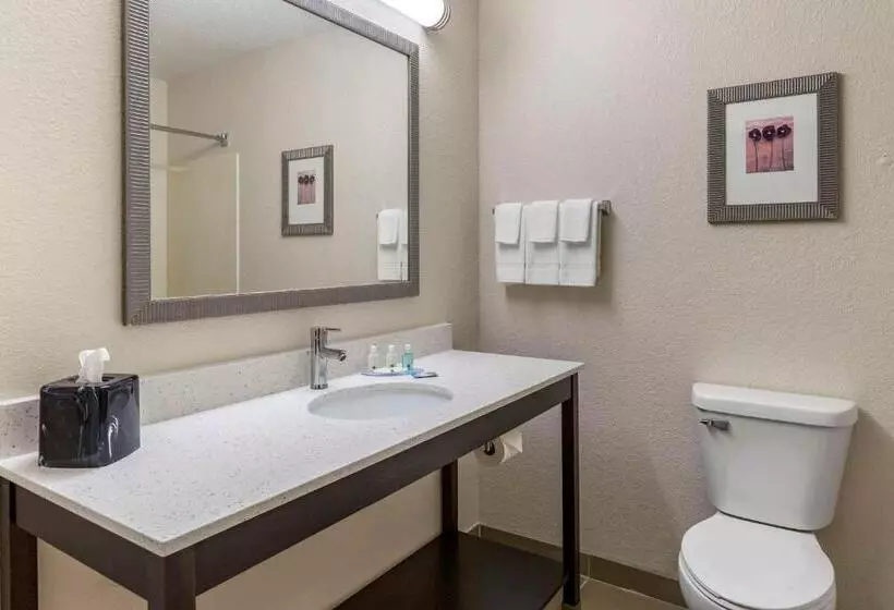 キングサイズベッドのスタンダードルーム, Quality Inn & Suites