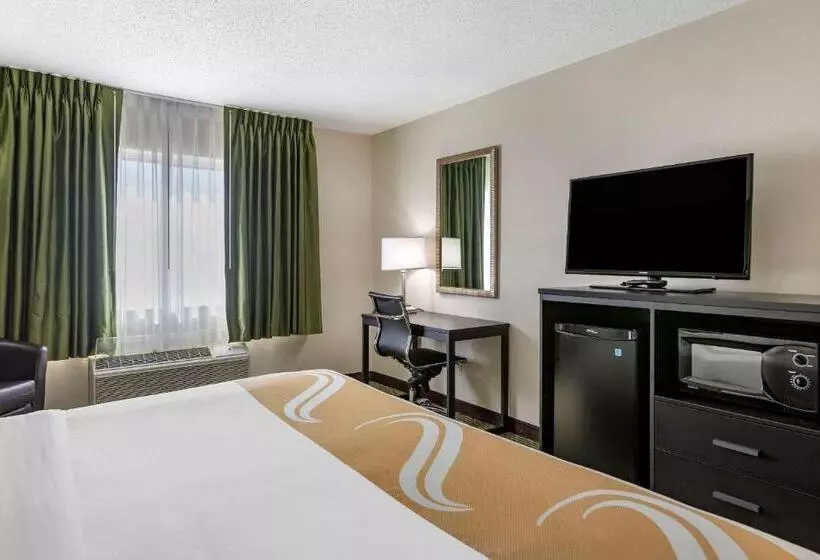 キングサイズベッドのスタンダードルーム, Quality Inn & Suites