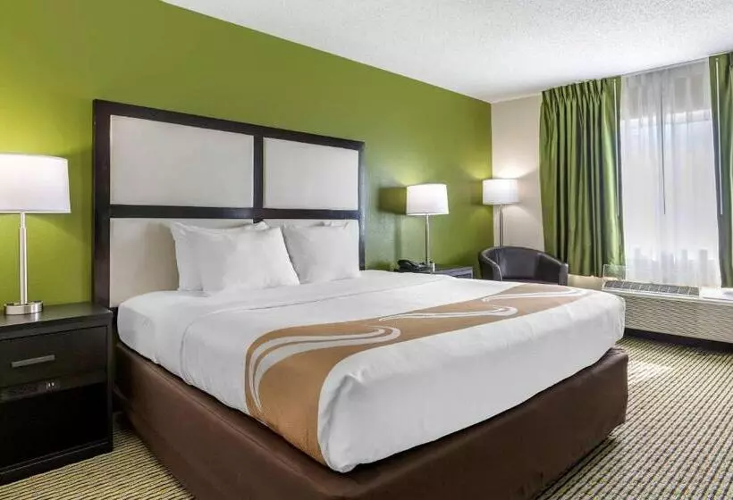 キングサイズベッドのスタンダードルーム, Quality Inn & Suites