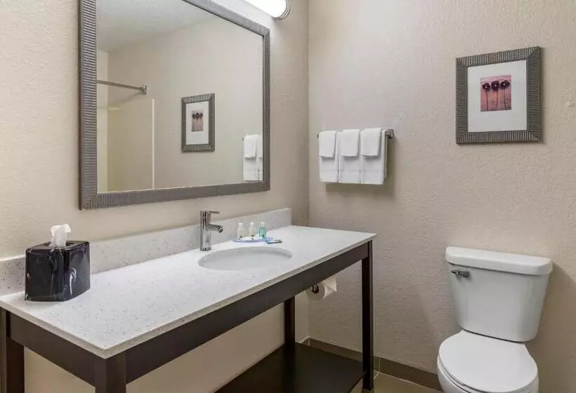 スタンダードルーム, Quality Inn & Suites