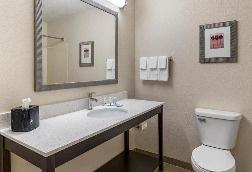 جناح سرير كينج, Quality Inn & Suites