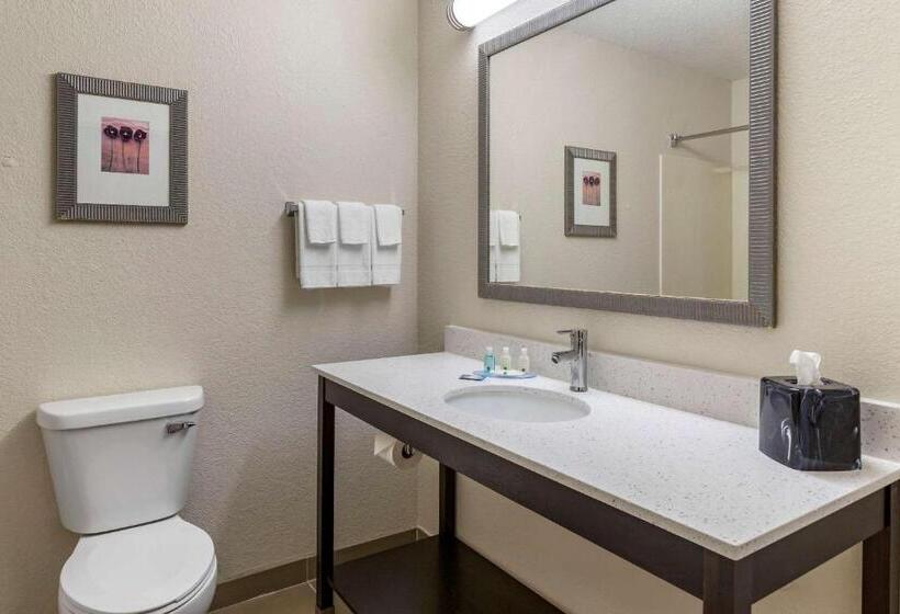 جناح سرير كينج, Quality Inn & Suites